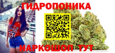 дмт Ачхой-Мартан
