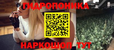 дмт Ачхой-Мартан