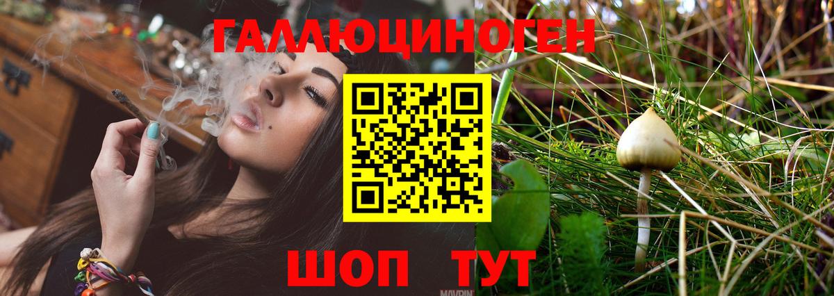 Галлюциногенные грибы GOLDEN TEACHER Киселёвск